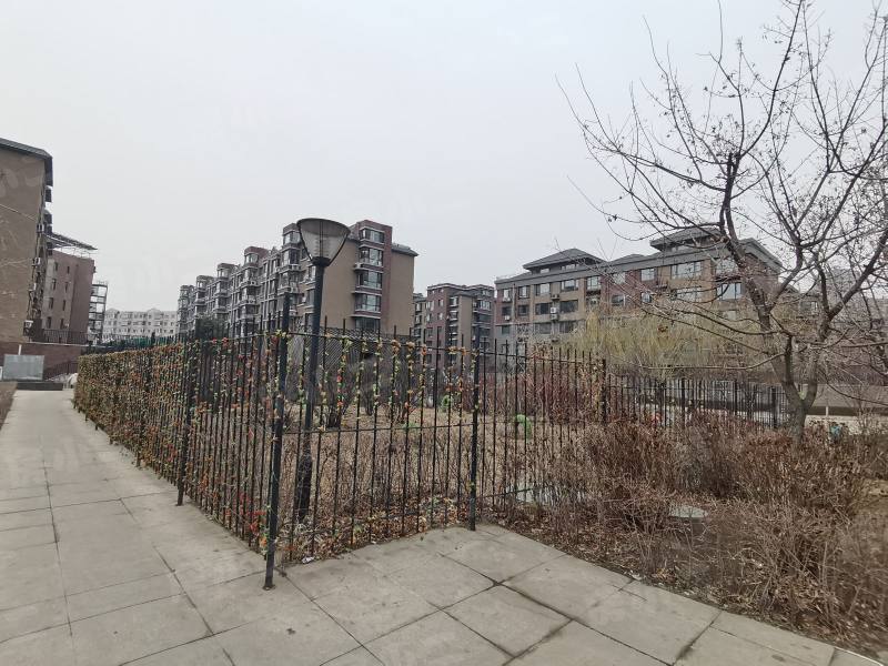 瑞士风情小镇三期铂邸园区图片
