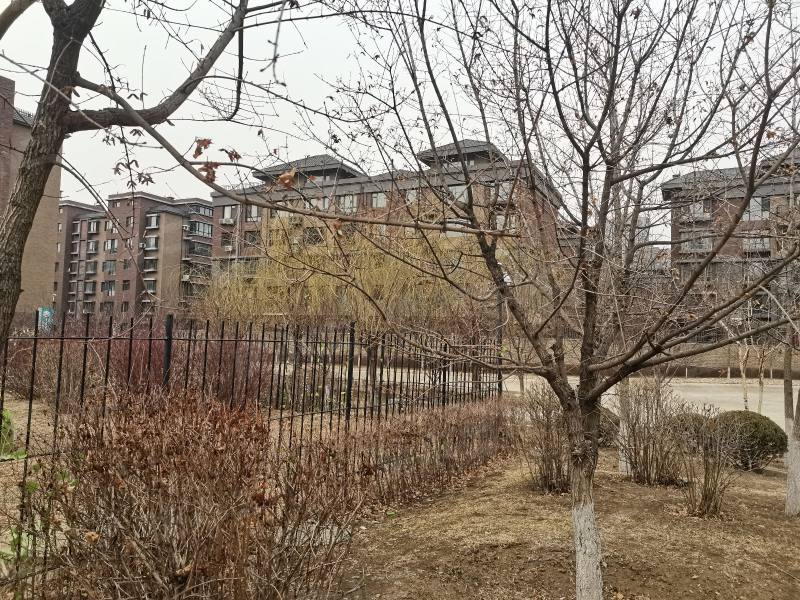 瑞士风情小镇三期铂邸园区图片