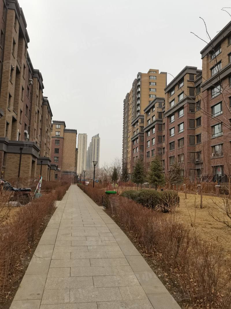瑞士风情小镇三期铂邸园区图片