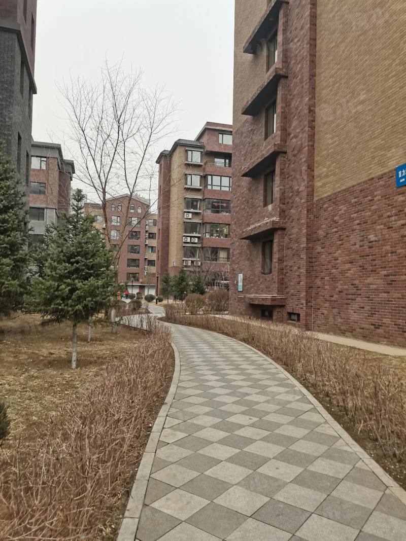 瑞士风情小镇三期铂邸园区图片
