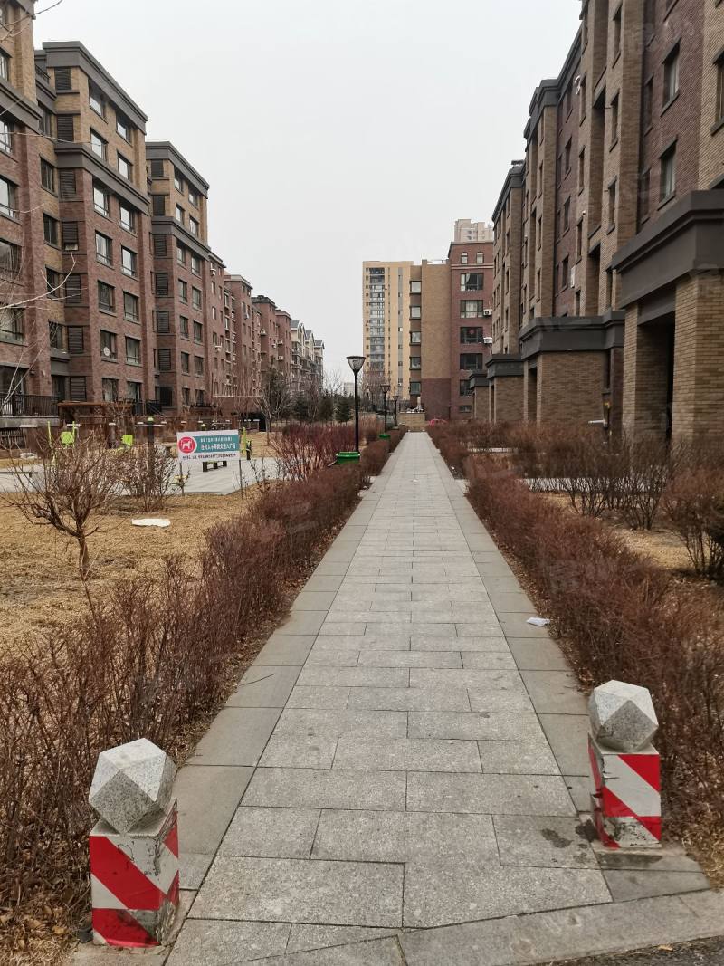 瑞士风情小镇三期铂邸园区图片