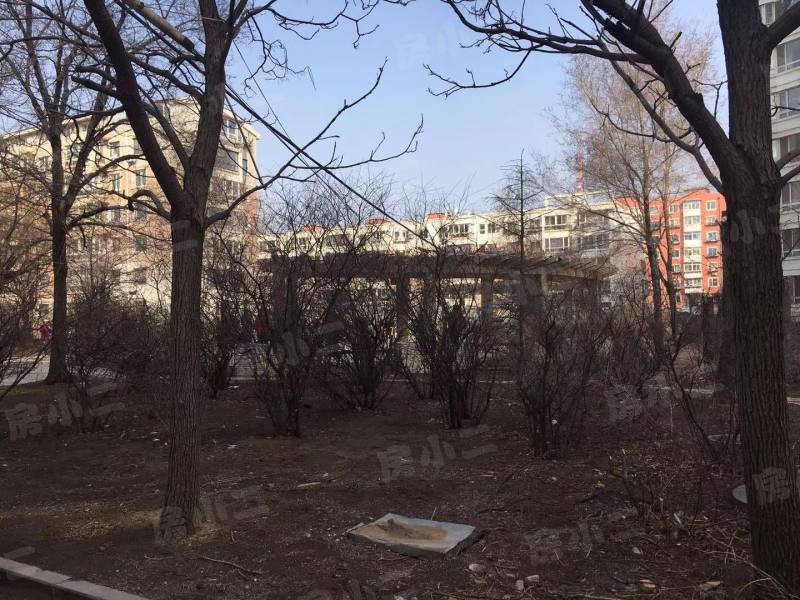 圆缘雅居园区图片