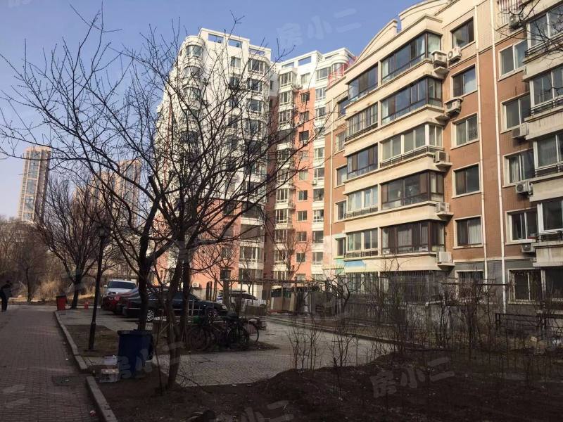 圆缘雅居园区图片