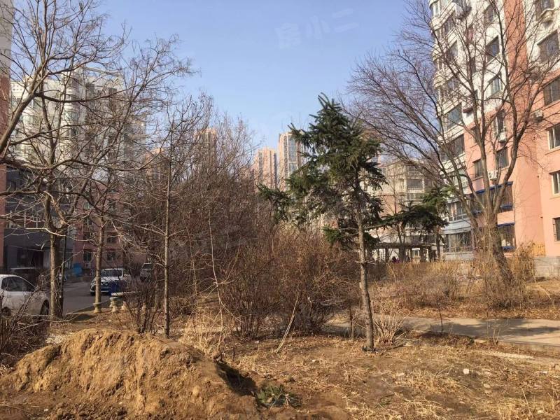 圆缘雅居园区图片