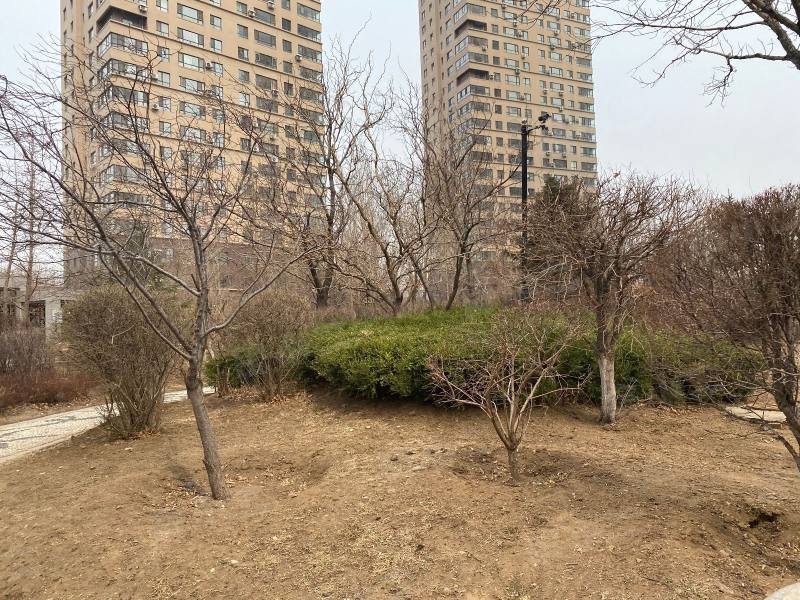 瑞家景峰园区图片