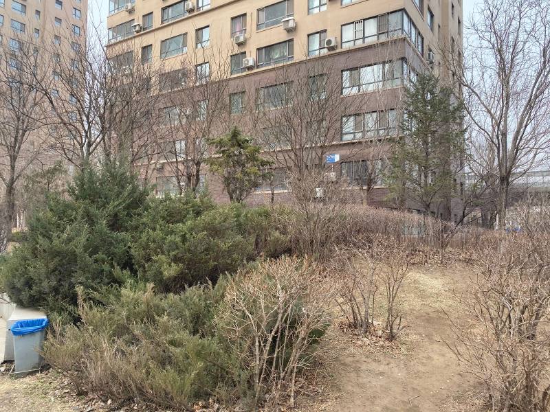 瑞家景峰园区图片