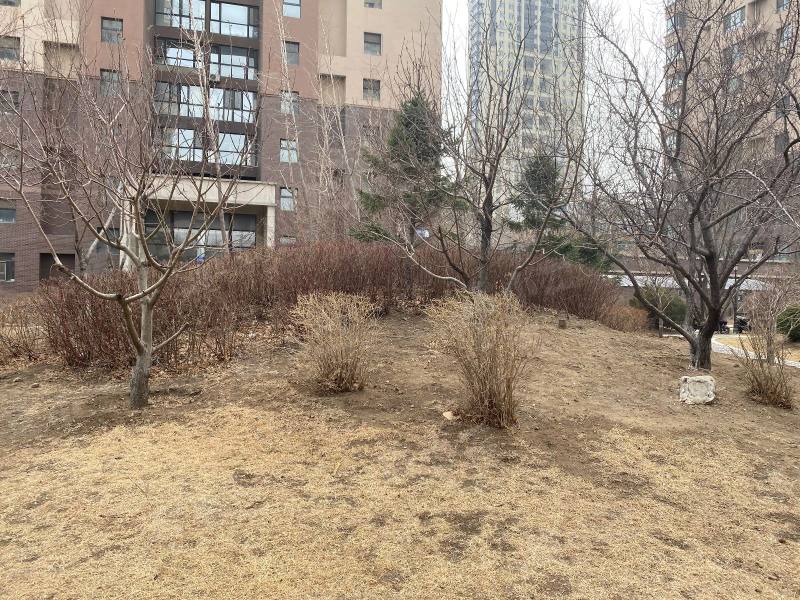 瑞家景峰园区图片