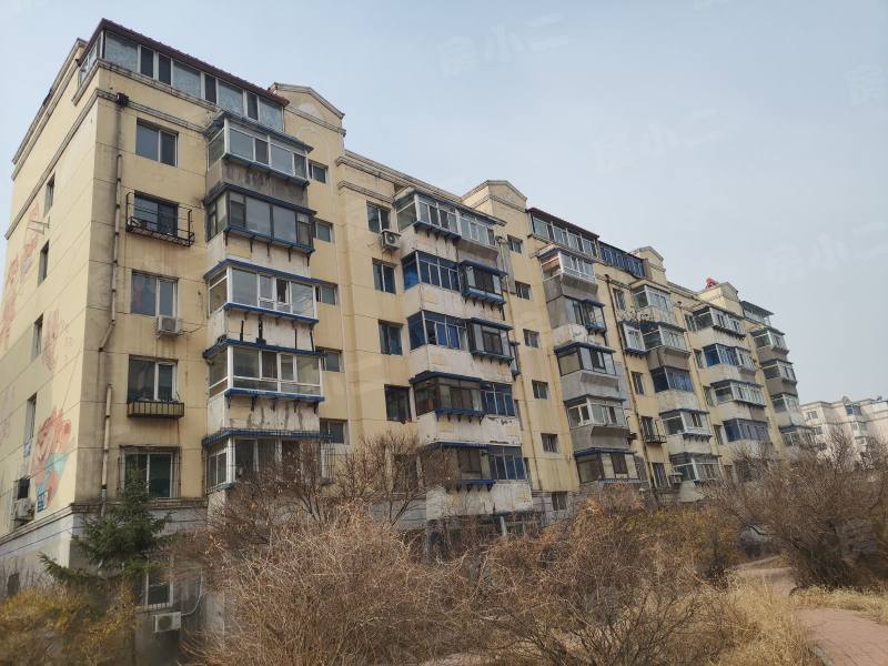 望花新村东区园区图片