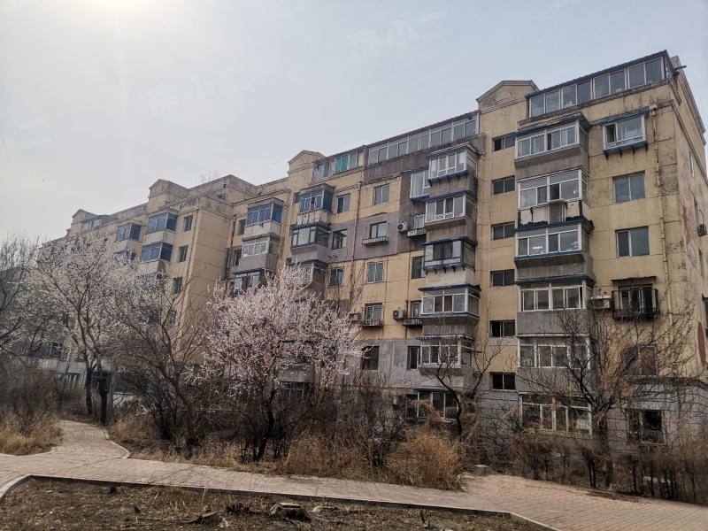 望花新村东区园区图片