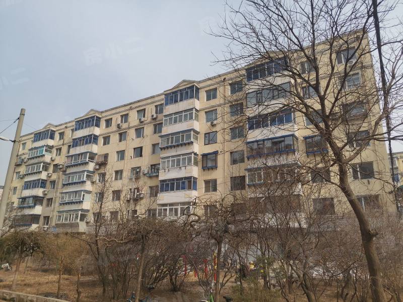 望花新村东区园区图片