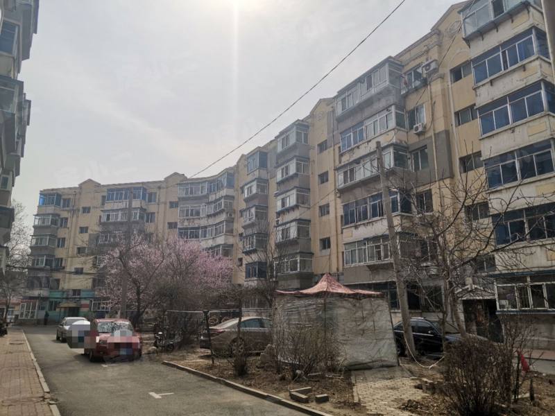望花新村东区园区图片