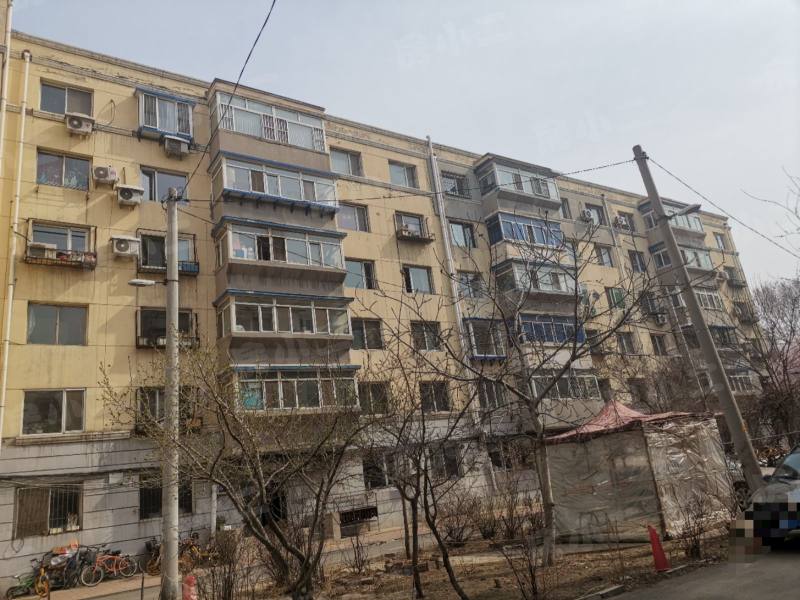 望花新村东区园区图片
