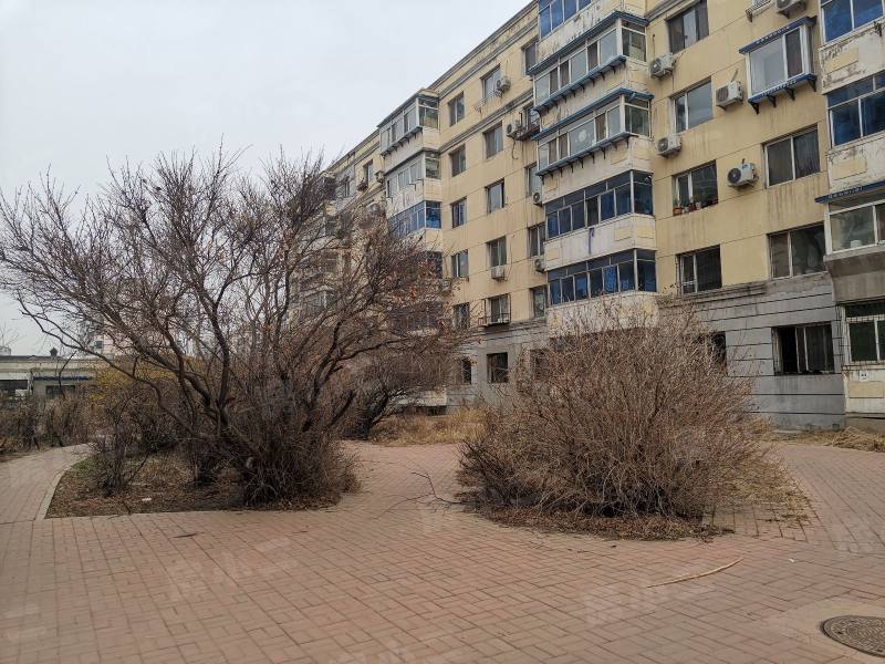 望花新村东区园区图片