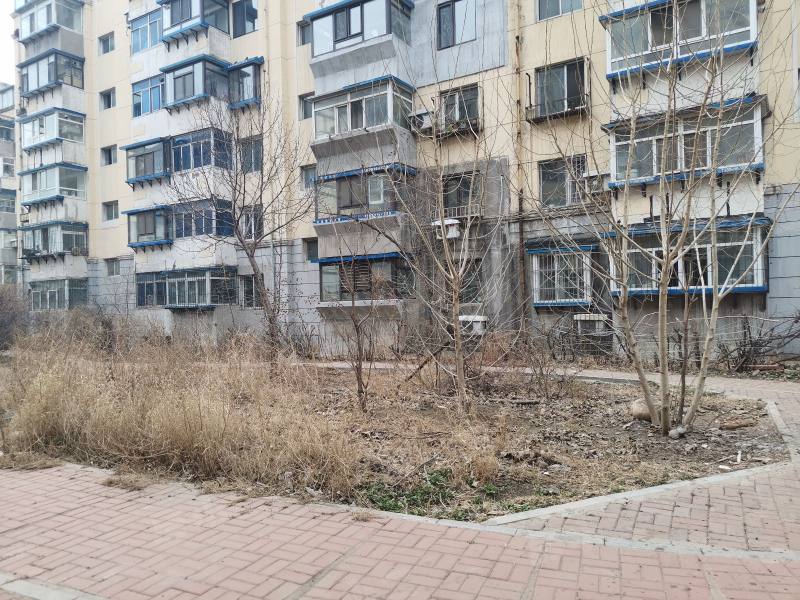 望花新村东区园区图片