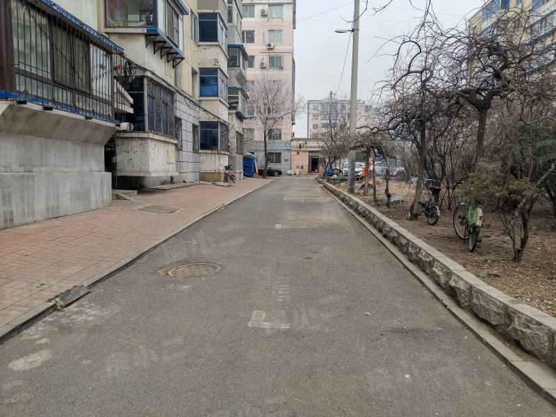 望花新村东区园区图片