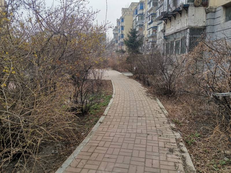 望花新村东区园区图片