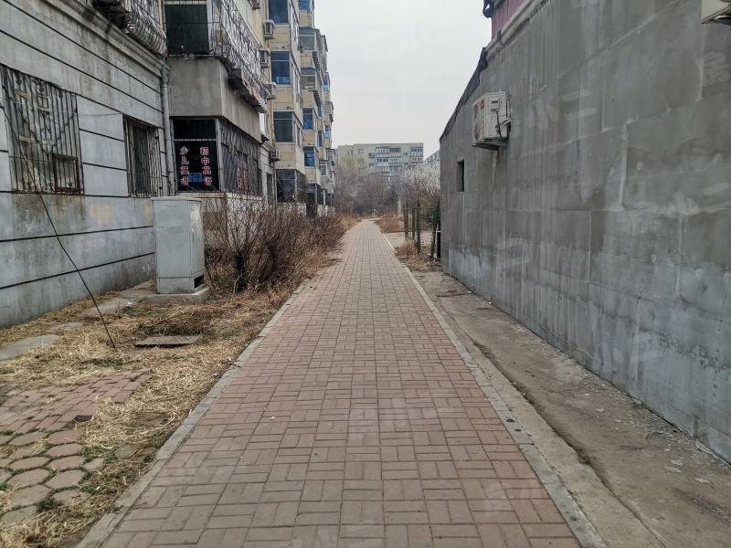 望花新村东区园区图片