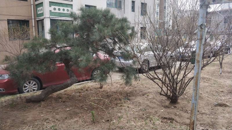 风和日丽小区园区图片