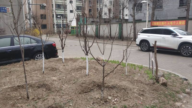 风和日丽小区园区图片