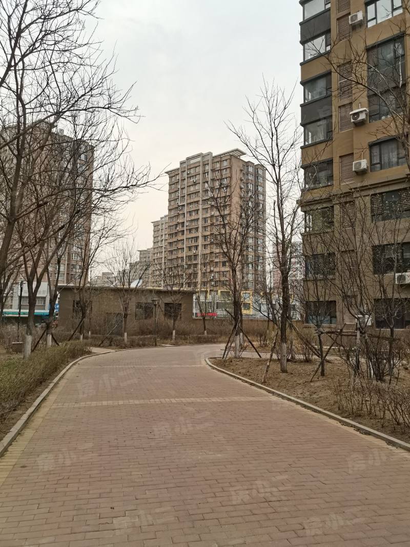 金厦太湖湾园区图片