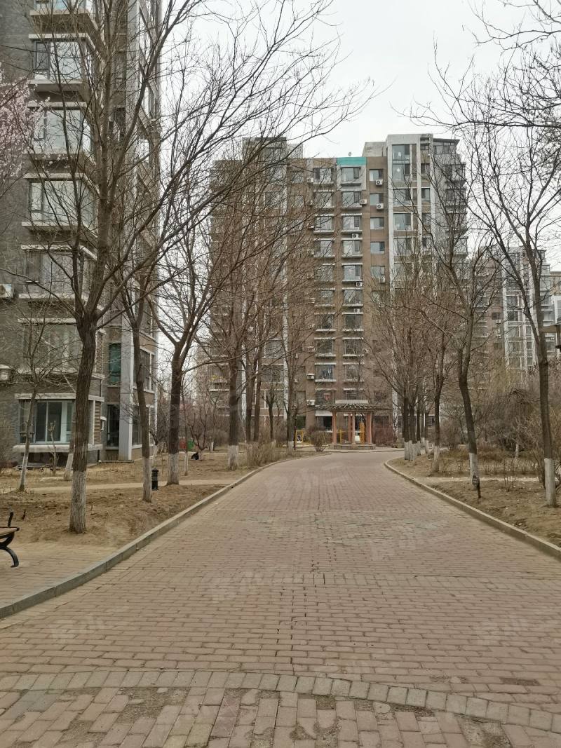 金厦太湖湾园区图片