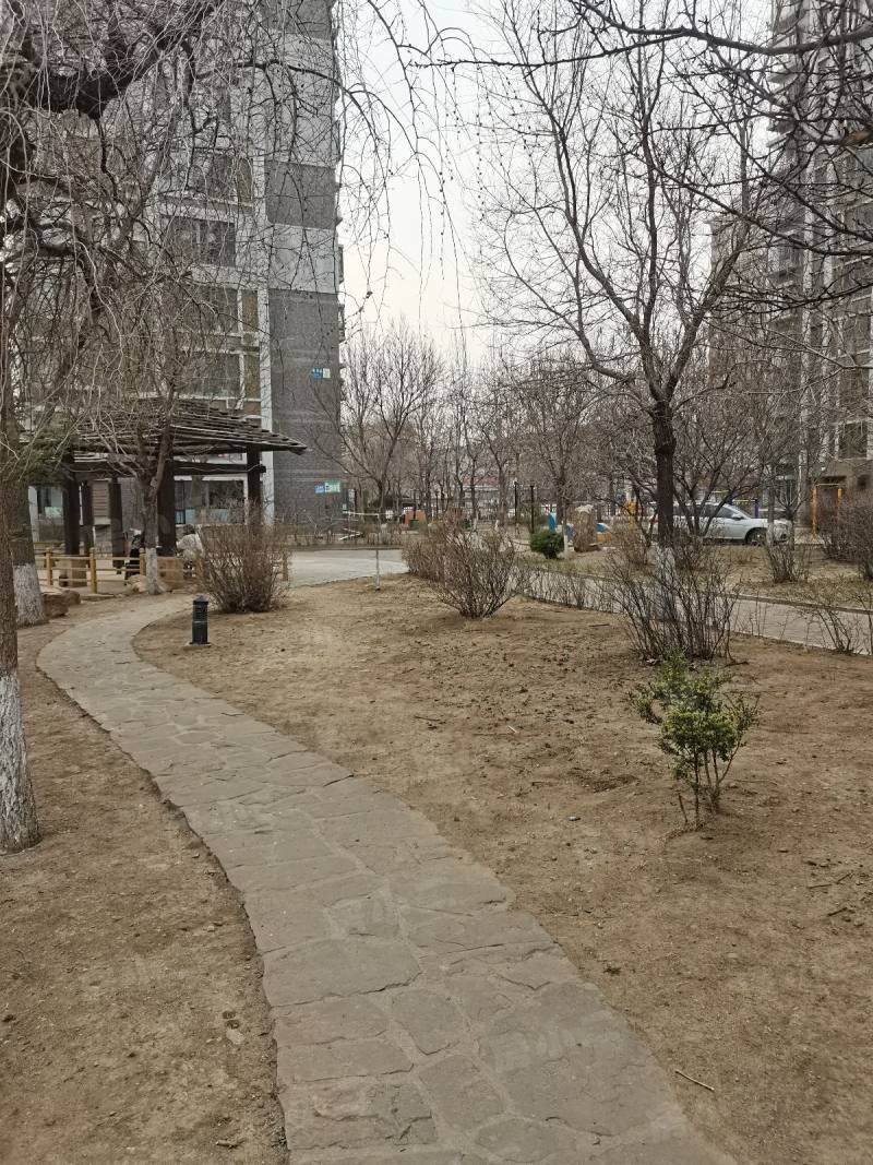 金厦太湖湾园区图片