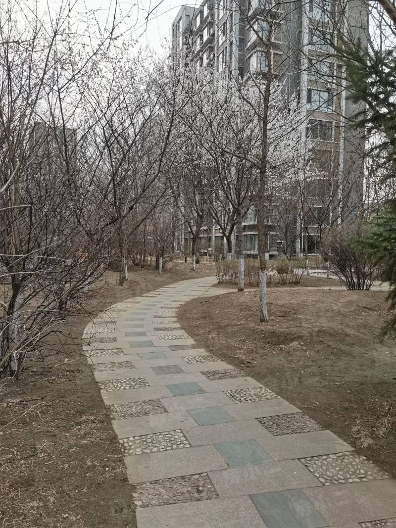 金厦太湖湾园区图片