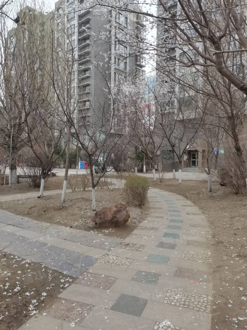 金厦太湖湾园区图片
