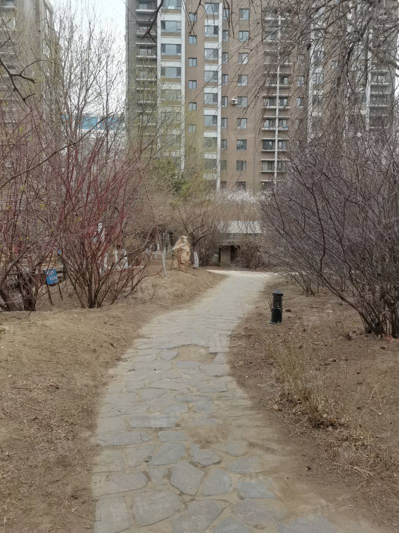 金厦太湖湾园区图片