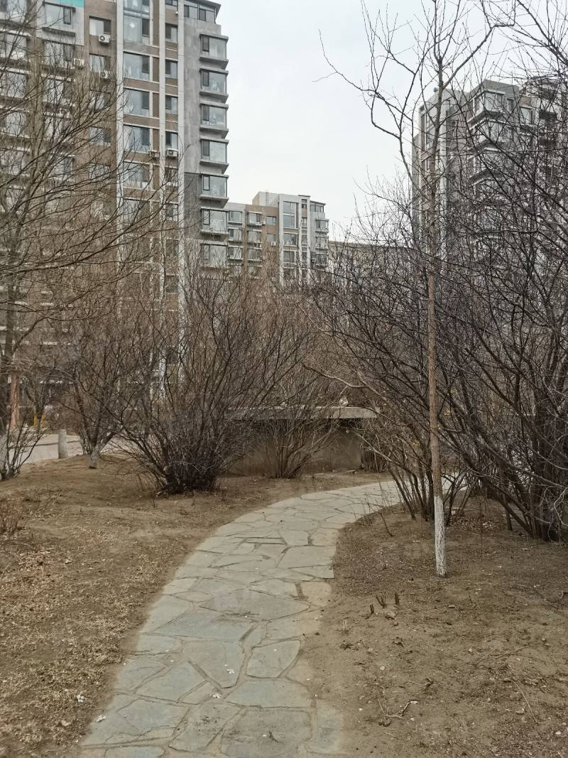 金厦太湖湾园区图片