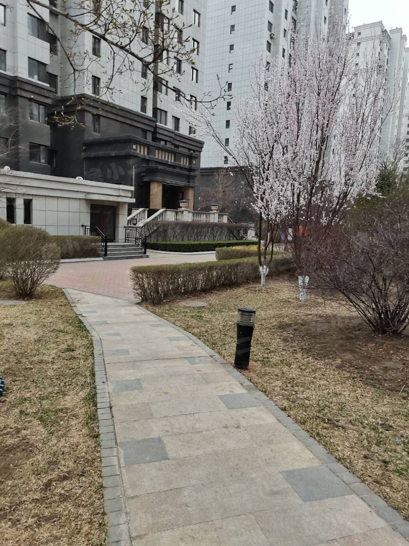 依云首府园区图片
