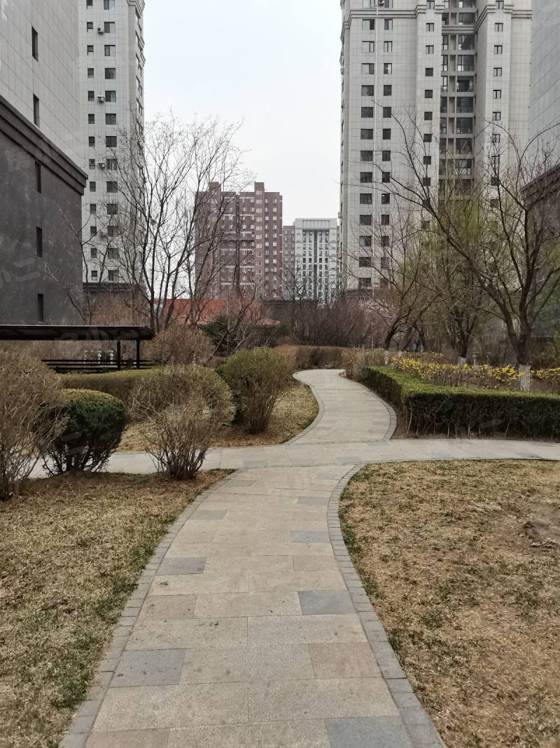 依云首府园区图片