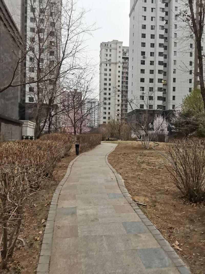 依云首府园区图片