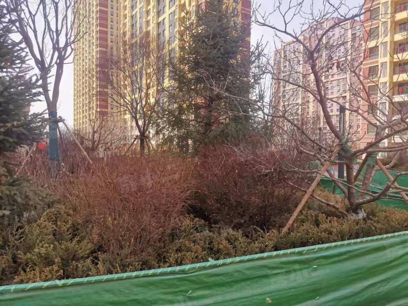 首创光和城南区园区图片