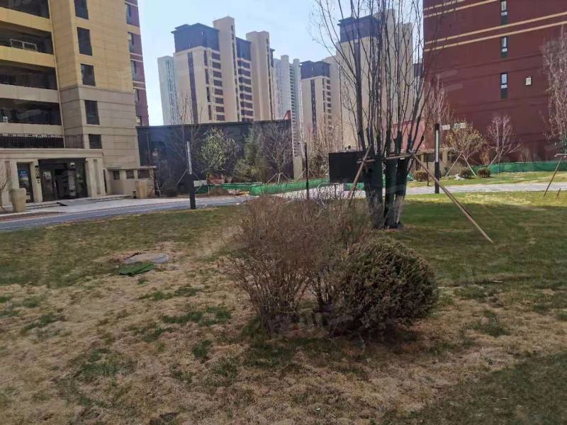 首创光和城南区园区图片