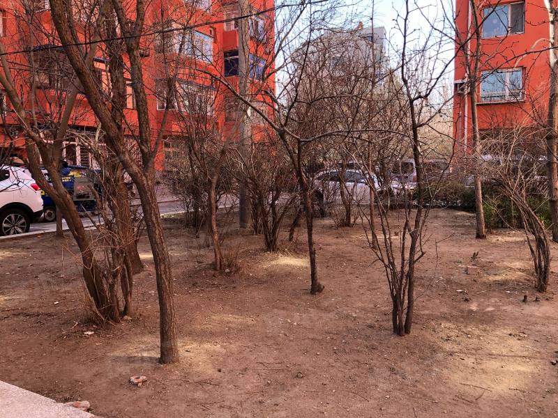 和平村安居小区园区图片