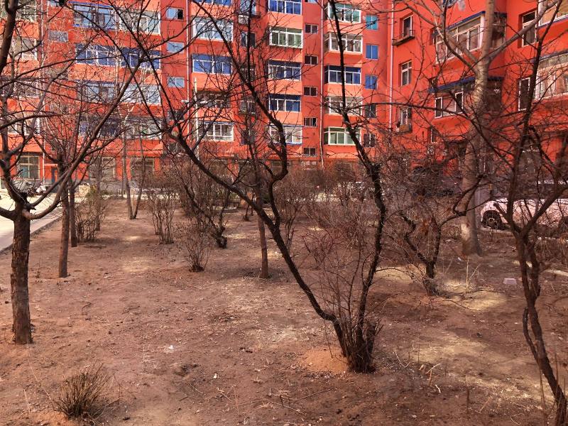 和平村安居小区园区图片