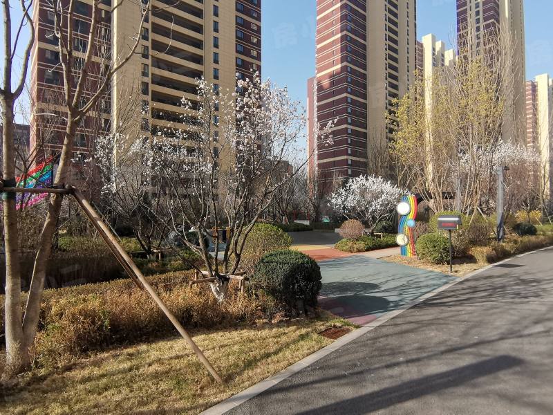 首创光和城南区园区图片