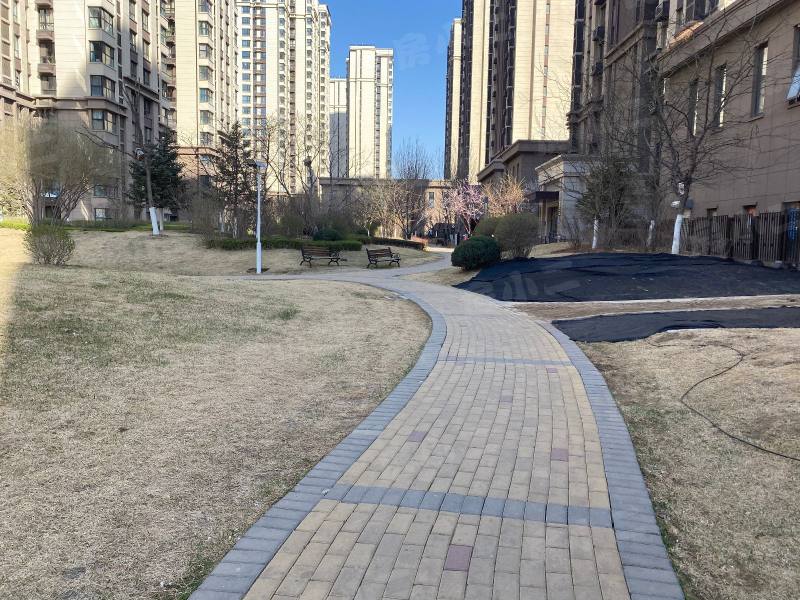 富力尚悦居园区图片