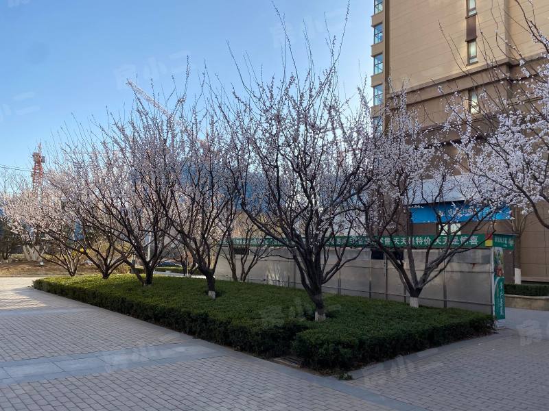 富力尚悦居园区图片