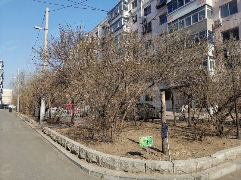 望花新村东区园区图片
