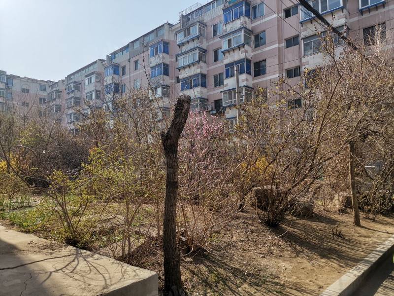 望花新村东区园区图片