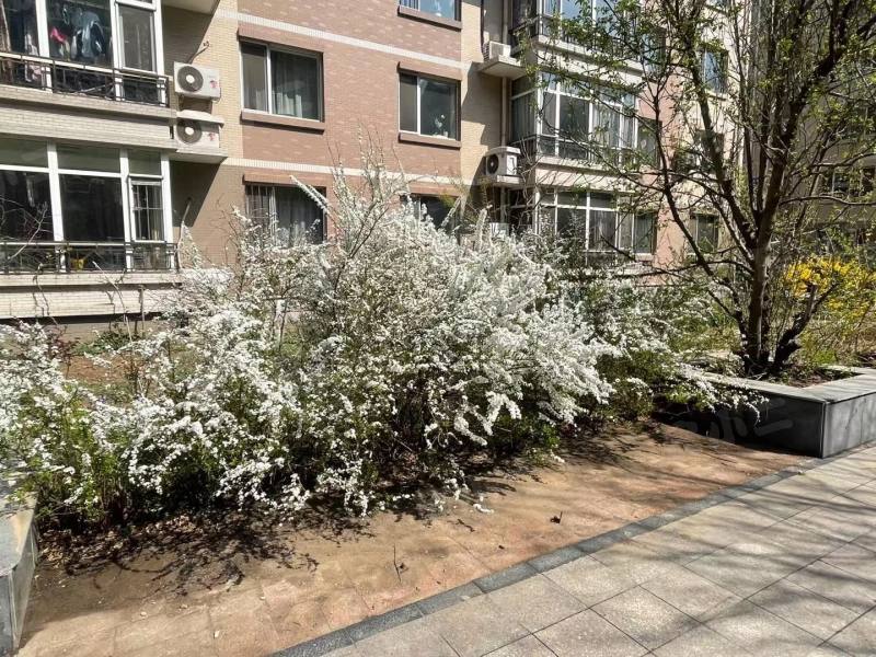 天河家园顺发苑园区图片