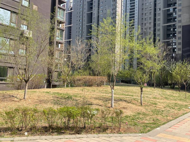 马总花园园区图片