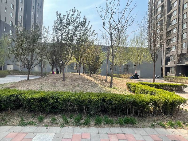 马总花园园区图片