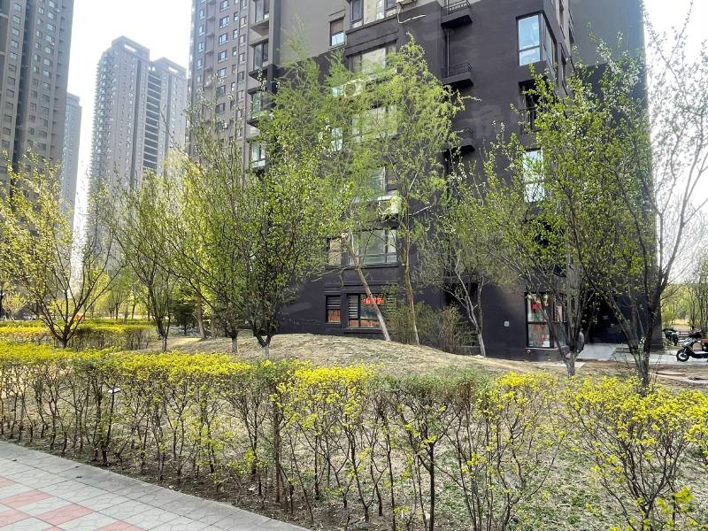 马总花园园区图片