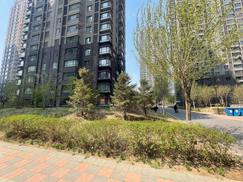 马总花园园区图片