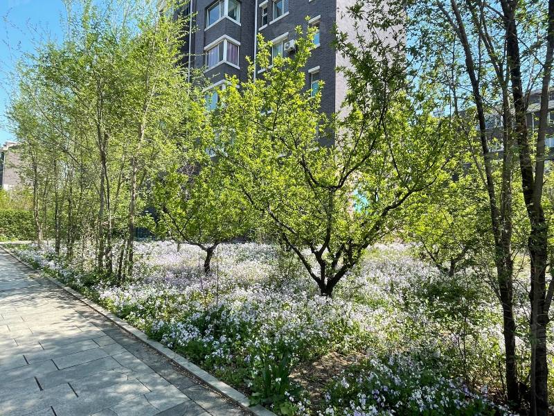 河畔花城园区图片