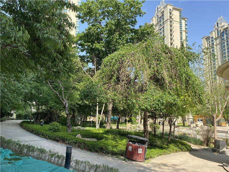 恒大江湾一期二期园区图片