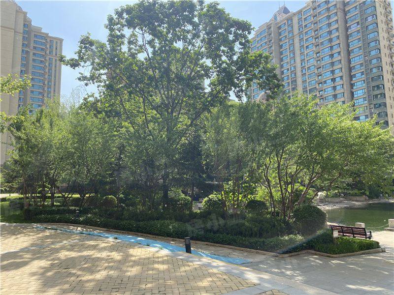 恒大江湾一期二期园区图片